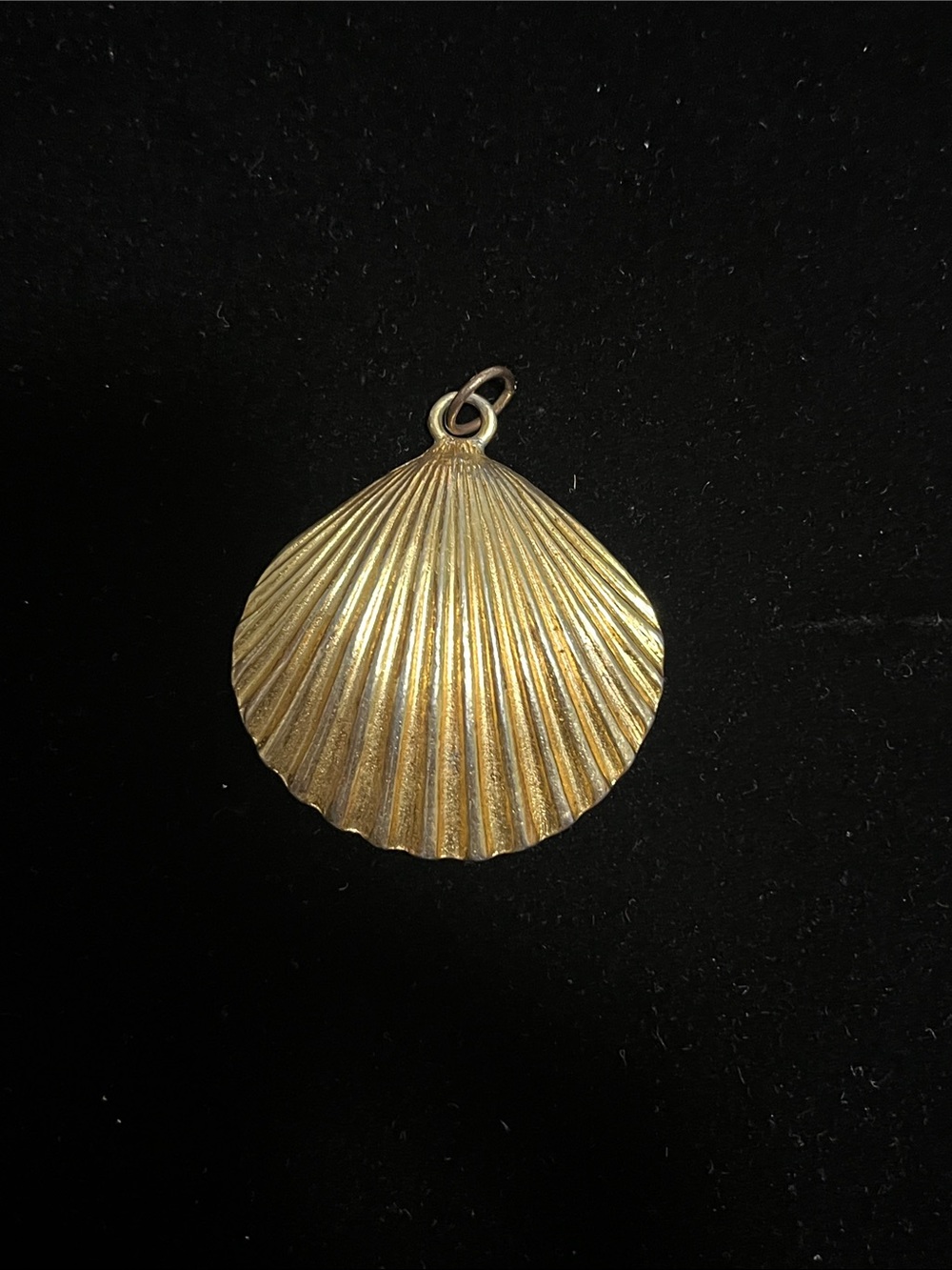 Mimi Di N Shell Pendant